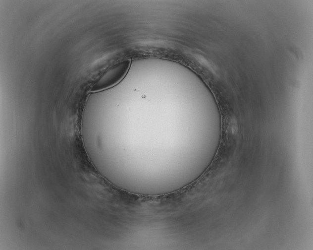 X0000114000965200910161705