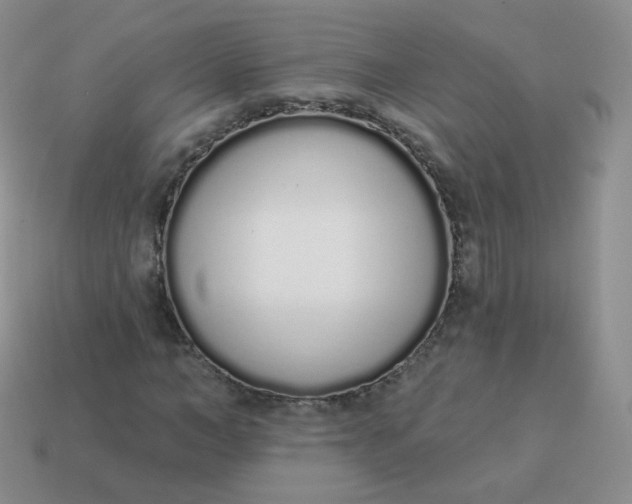 X0000114000966200910161705