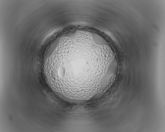 X0000114000967200910161705