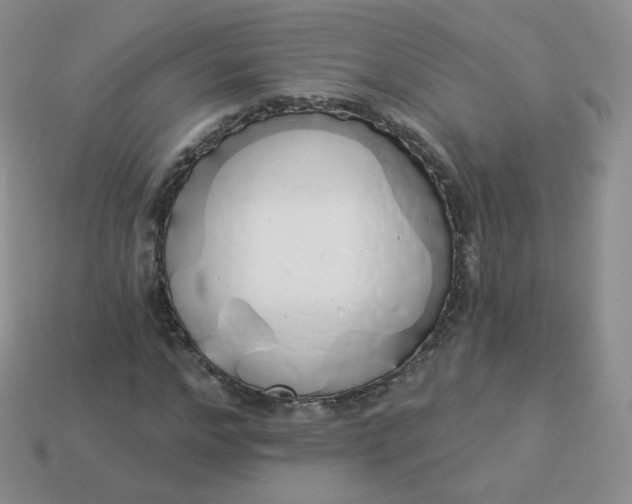 X0000114000968200910161705