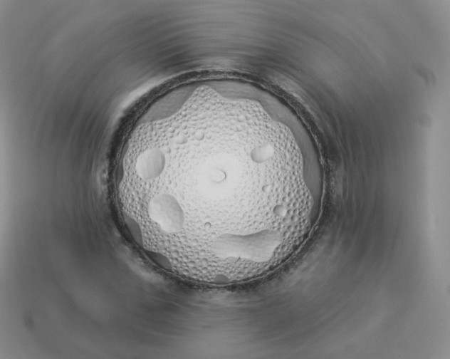 X0000114000971200910161705