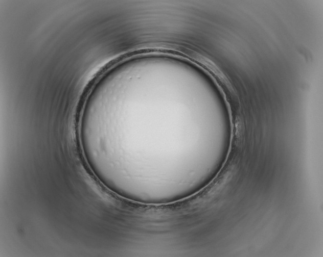 X0000114000972200910161705