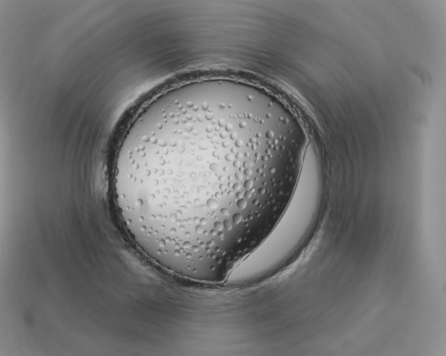 X0000114000973200910161705