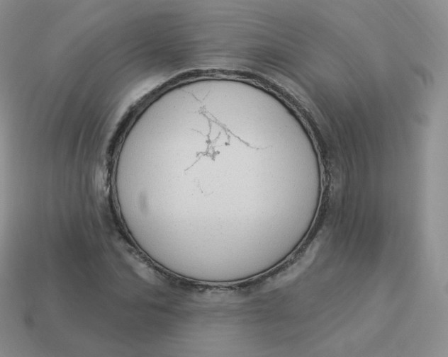 X0000114000974200910161705