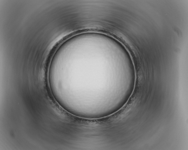 X0000114000975200910161705