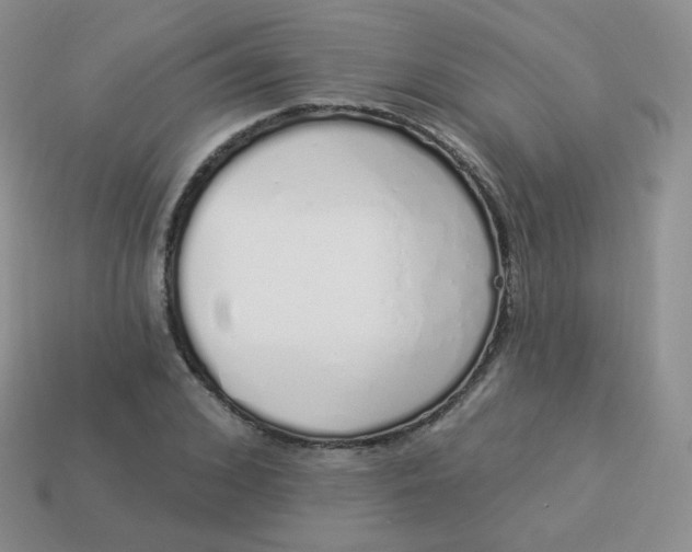 X0000114000976200910161705