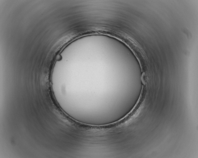 X0000114000977200910161705