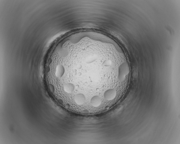 X0000114000979200910161705