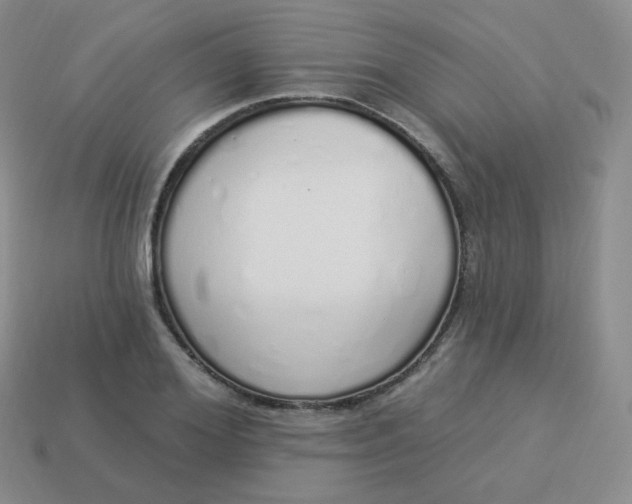X0000114000980200910161705