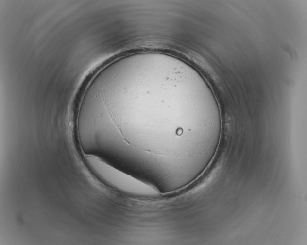 X0000114000981200910161705
