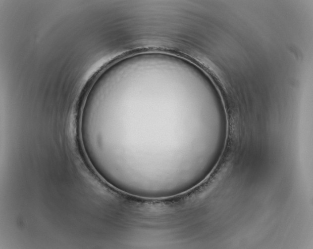 X0000114000983200910161705