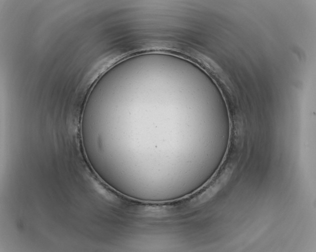 X0000114000985200910161705
