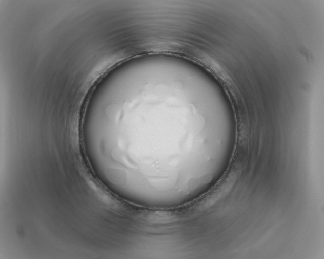 X0000114000986200910161705