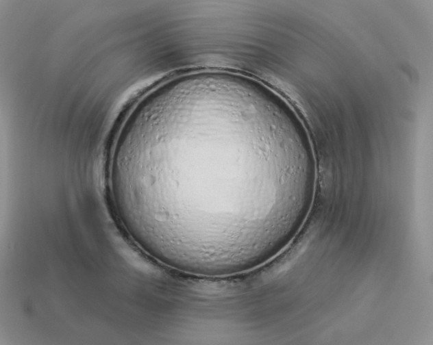 X0000114000987200910161705