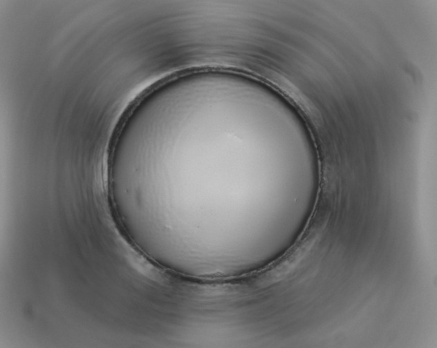 X0000114000988200910161705