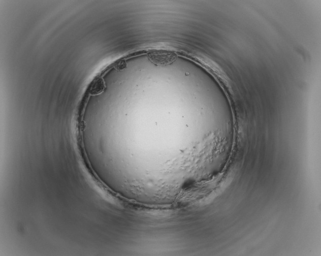 X0000114000989200910161705