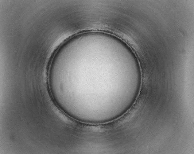 X0000114000990200910161705