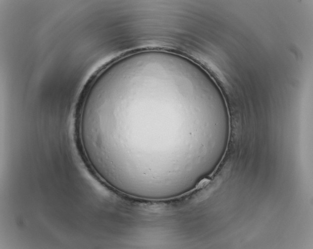 X0000114000991200910161705