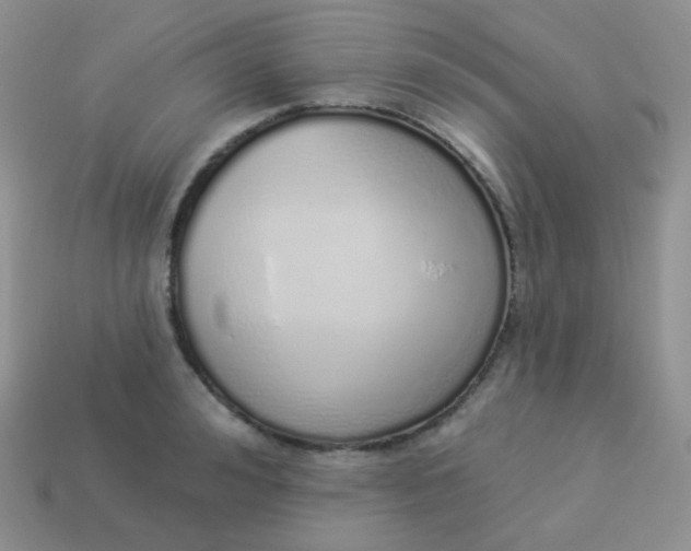 X0000114000992200910161705