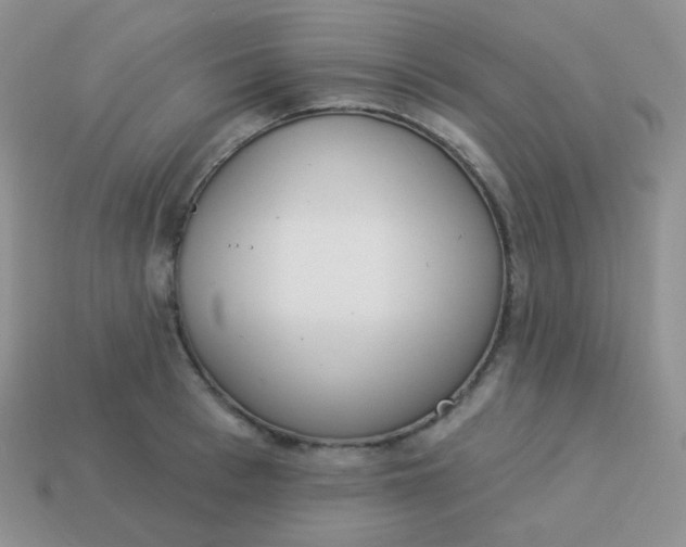 X0000114000993200910161705