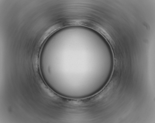 X0000114000994200910161705