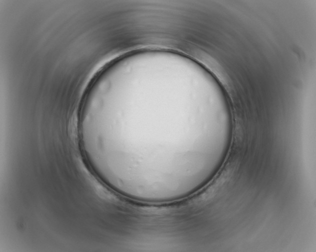 X0000114000996200910161705