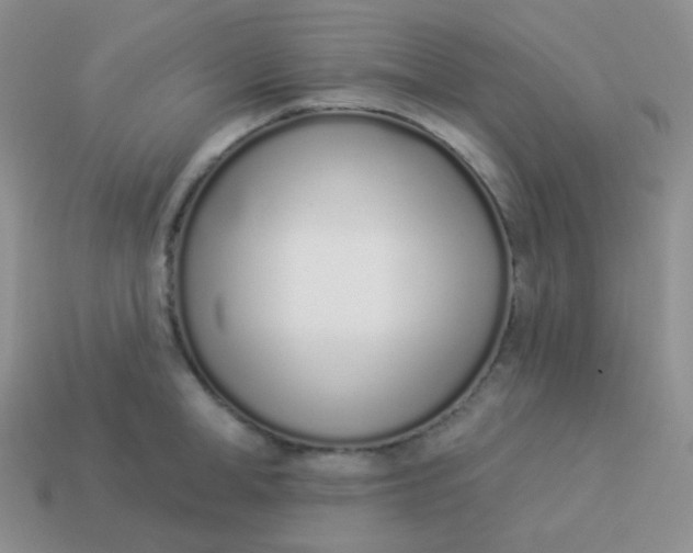 X0000114000998200910161705