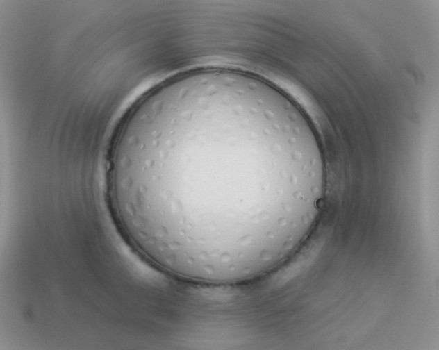 X0000114000999200910161705