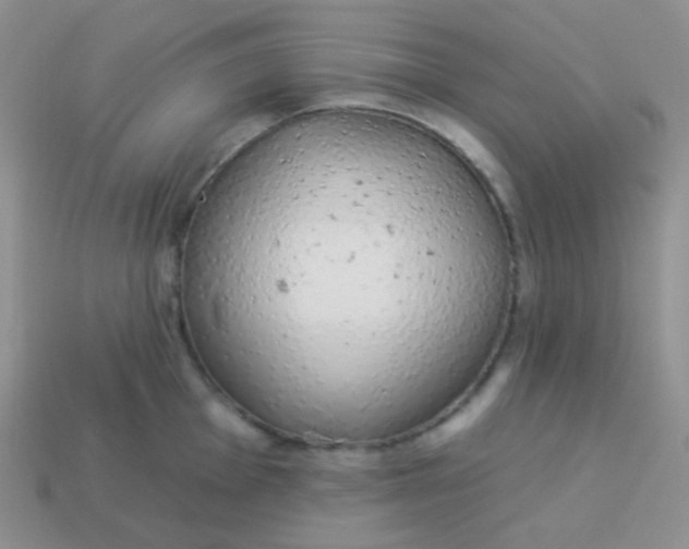 X0000114001001200910161705