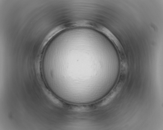 X0000114001002200910161705