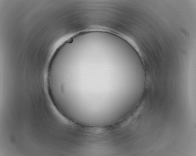 X0000114001003200910161705