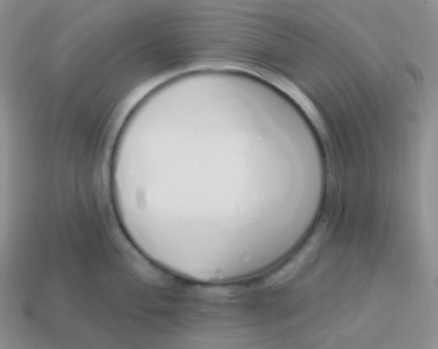 X0000114001004200910161705