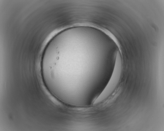X0000114001005200910161705