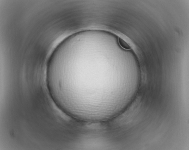 X0000114001006200910161705
