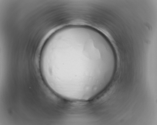 X0000114001008200910161705