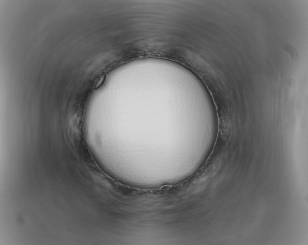 X0000114001010200910161704