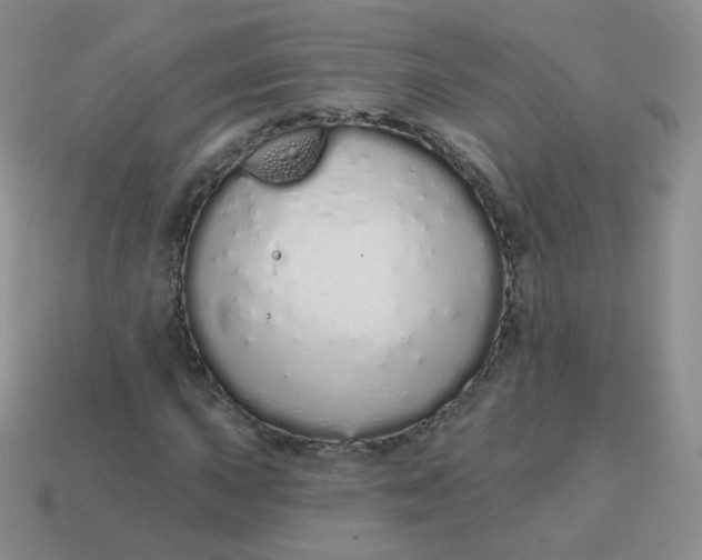 X0000114001015200910161704