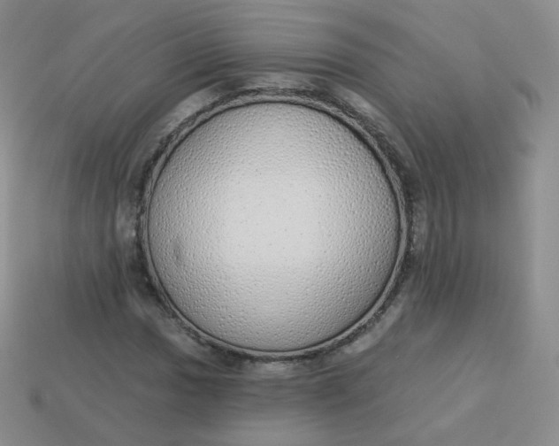 X0000114001017200910161704