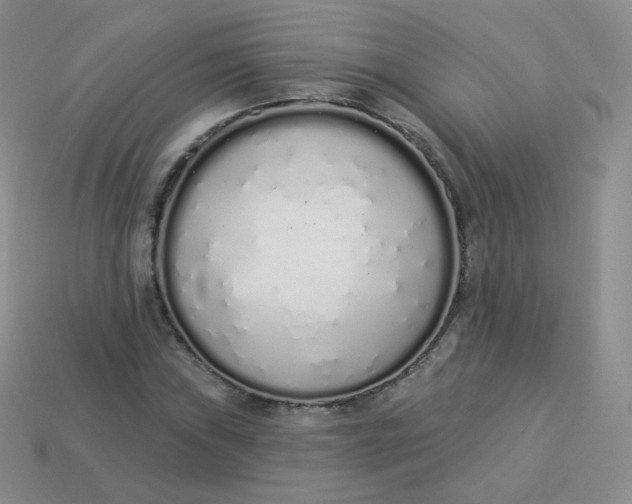 X0000114001019200910161704