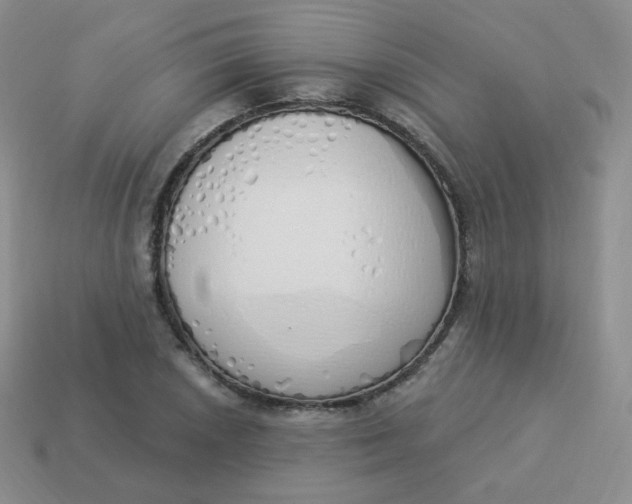X0000114001026200910161704