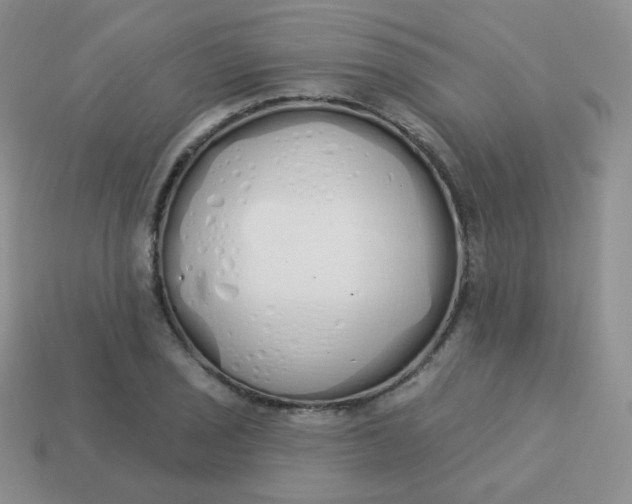 X0000114001029200910161704