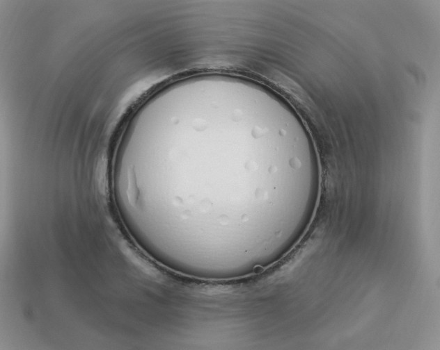 X0000114001030200910161704