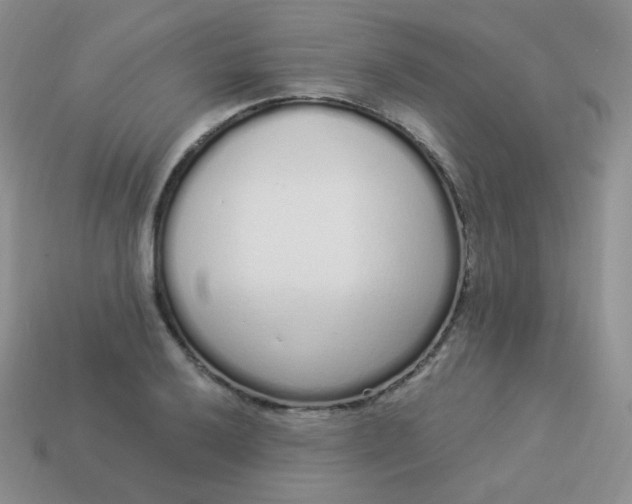 X0000114001032200910161704