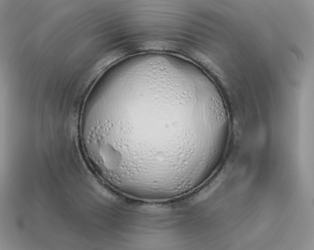X0000114001033200910161704