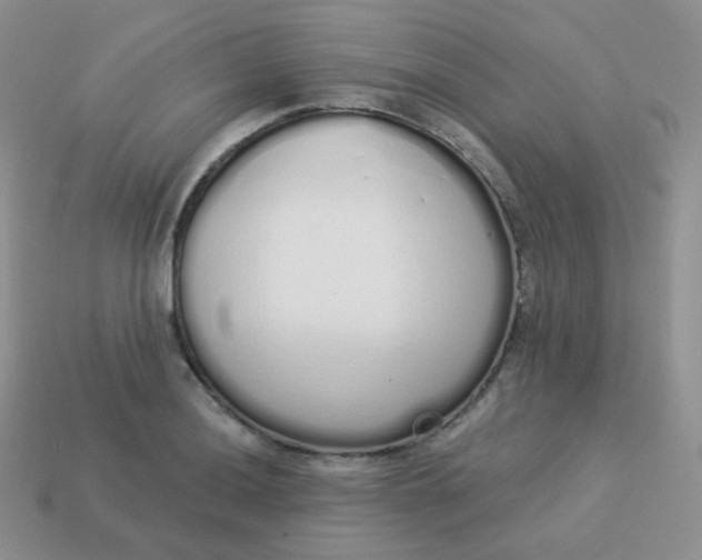 X0000114001036200910161704