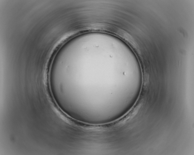 X0000114001037200910161704