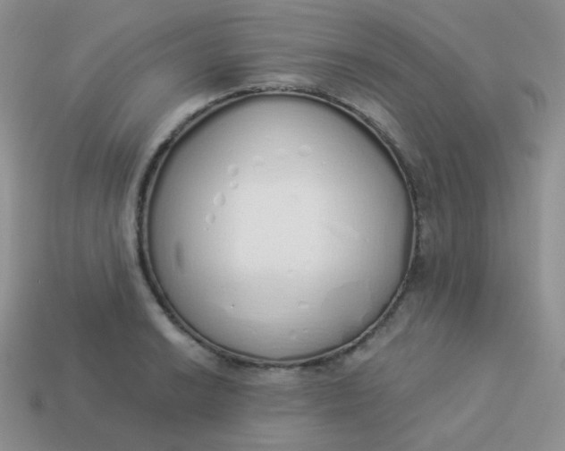 X0000114001038200910161704