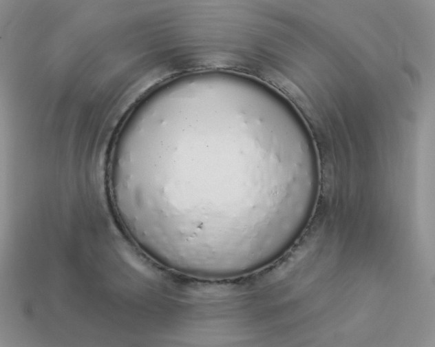 X0000114001039200910161704