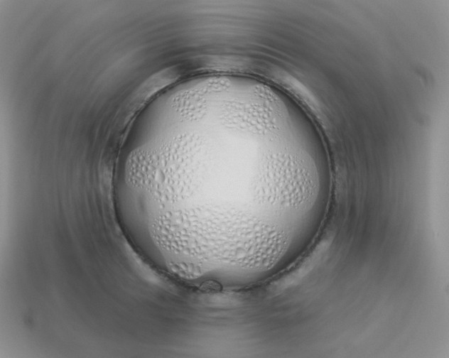 X0000114001041200910161705