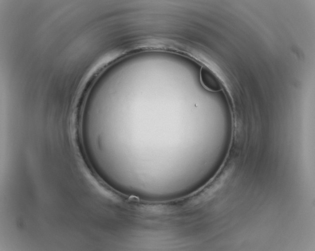 X0000114001045200910161705